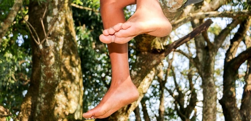Vitória Oliveira