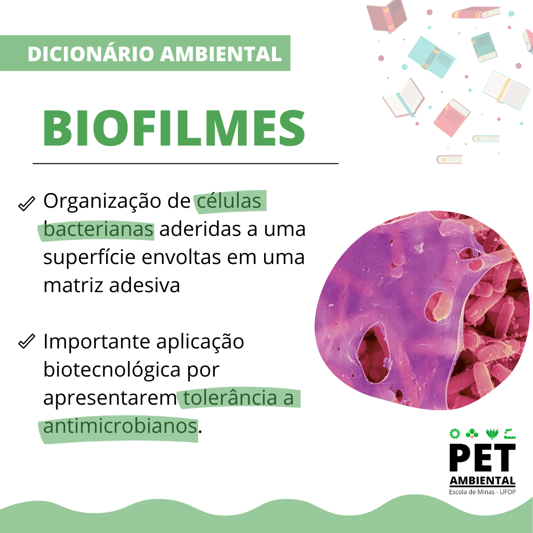biofilme