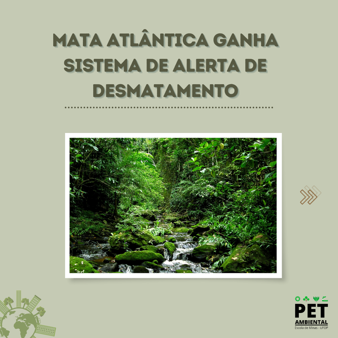 mataatlantica_alerta_desmatamento