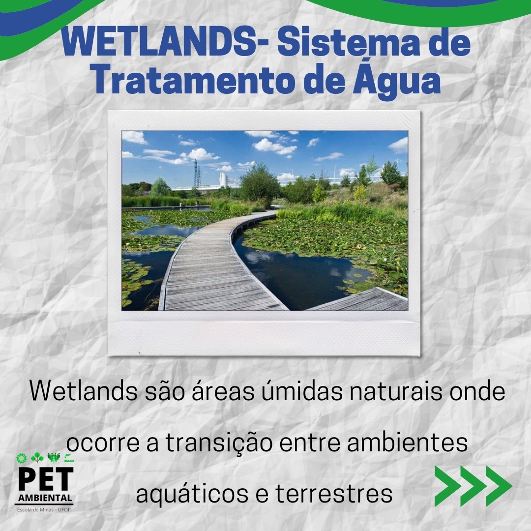 Wetlands - Sistema de Tratamento de Água