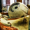 expmuseu
